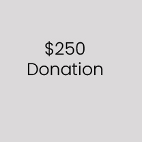 $250 Donation